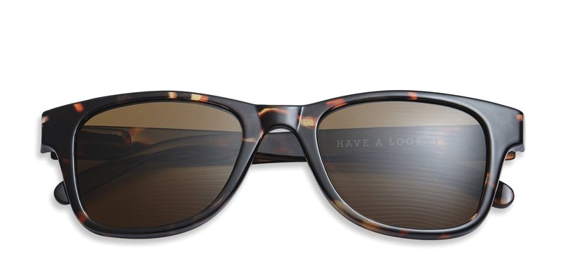 Solbriller med styrke Type B horn – Have Look